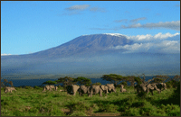 Ascensión al Kilimanjaro y Meru