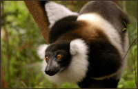 Viajes a Madagascar