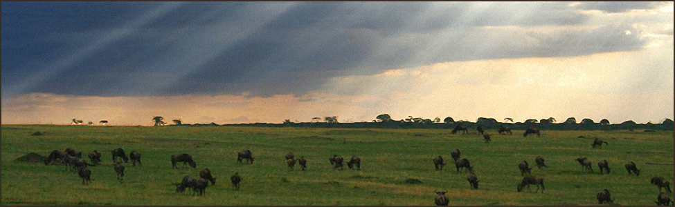 Masai Mara Trek 