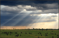 Masai Mara Trek